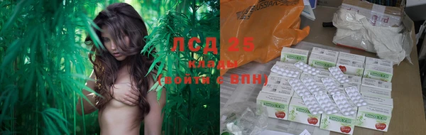 мяу мяу мука Осташков
